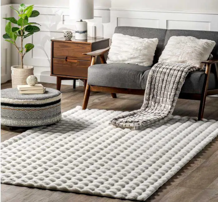 Washable Rugs for Living Room